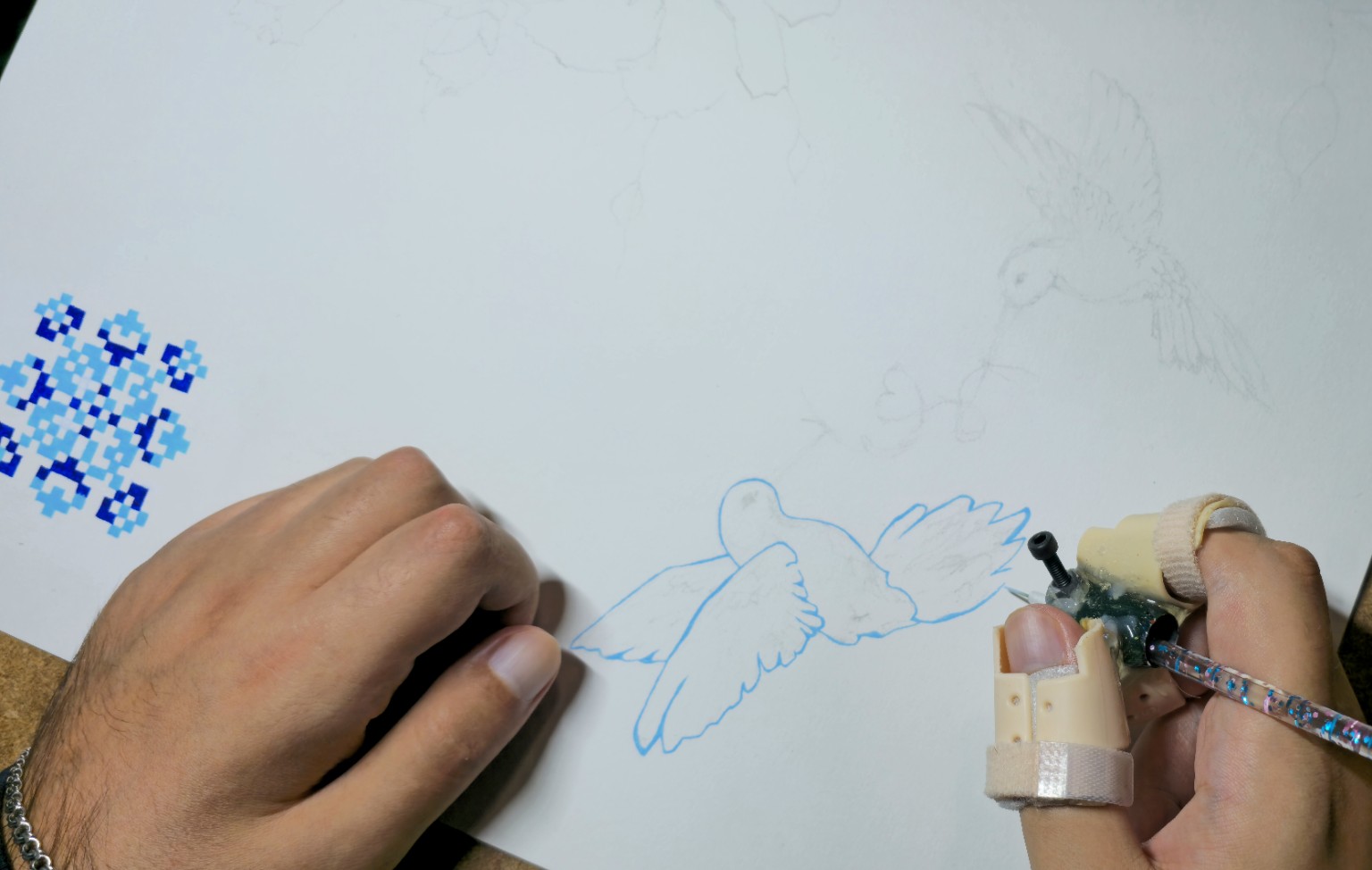 Drawing the first outlines of a bird